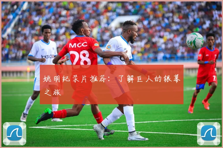 姚明纪录片推荐：了解巨人的银幕之旅