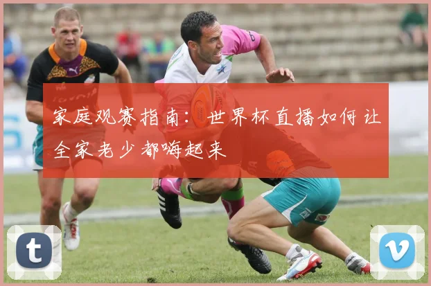 家庭观赛指南:世界杯直播如何让全家老少都嗨起来